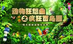 百鸟海报