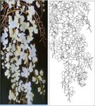 白花