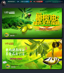橄榄油