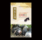 土猪海报