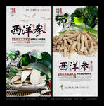 西洋参