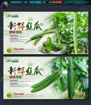 丝瓜