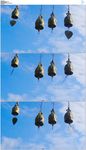 蓝色天空下的风铃