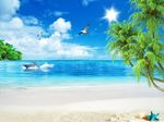 海景椰子树