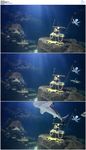 水族馆海底鲨鱼