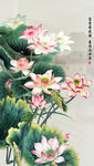 富贵荷花图