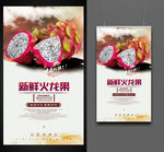火龙果