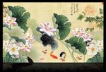 国画荷花