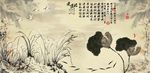水墨荷花