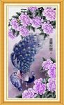 孔雀