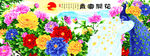 花开富贵孔雀图