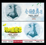 爱鼻日 预防鼻窦炎