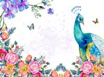 玫瑰花孔雀