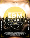 EDM音乐派对