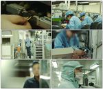 电子芯片生产线员工作业