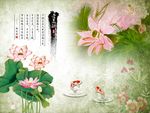 爱莲说荷花