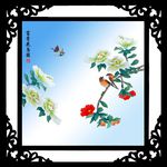 花鸟