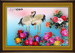 牡丹花