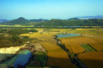 农田土地