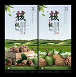 核桃 纸