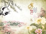 家和富贵荷花