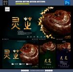 灵芝