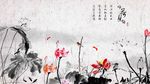 水墨荷花