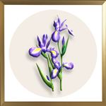 挂画