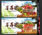 草莓