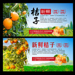 新鲜桔子海报