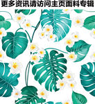 绿色植物图案 植物叶子图案