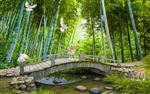 竹林小河背景