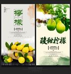 柠檬