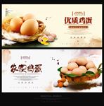 鸡蛋