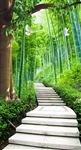 竹林石阶玄关背景