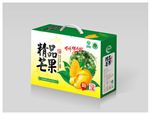 芒果包装平面图