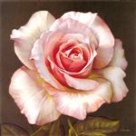 花卉 油画 装饰画 静物 欧美