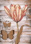 欧美花卉装饰画