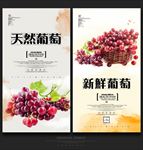 葡萄