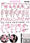 粉色水彩樱花素材