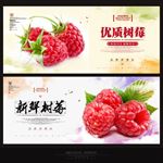 树莓