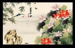 国画荷花