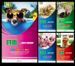 宠物海报