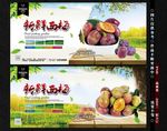 西梅 休闲食品 话梅 蜜线