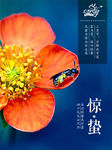 惊蛰