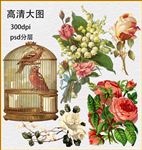 手绘花卉
