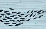 简约鱼群装饰画背景墙