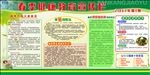 春季健康教育宣传栏