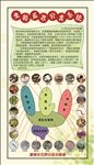 生物展板——生物五界图