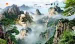 迎客松
